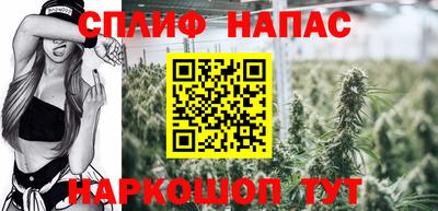 ГАЛЛЮЦИНОГЕННЫЕ ГРИБЫ Тулун