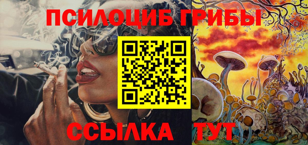 Арзамас  Псилоцибиновые грибы ЛСД  Галлюциногенные грибы Psilocybe  Вход с VPN 